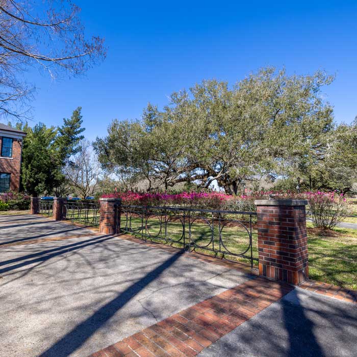 side walk lined by an iron short fence and blooming rose bushes and trees that are casting long shadows